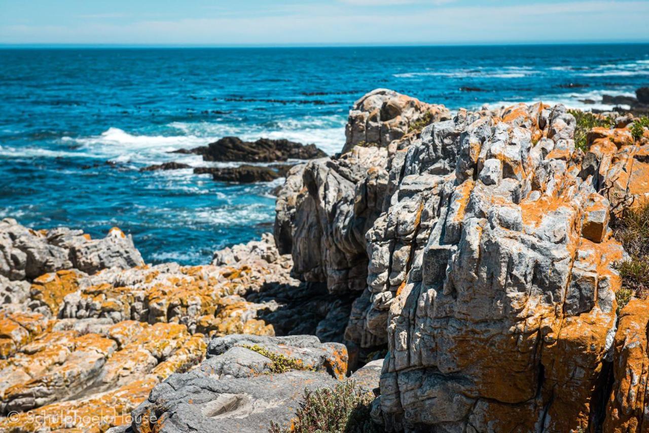 Schulphoek Seafront House Hermanus Eksteriør billede The coast of the park