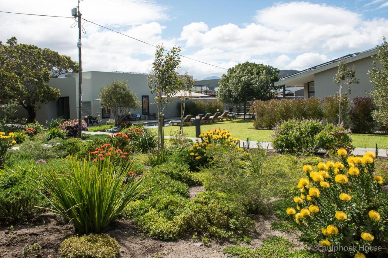 Schulphoek Seafront House Hermanus Eksteriør billede The courtyard at the school